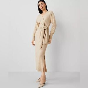 Ann Taylor Tan Sweater
NEW- TAG INTACT